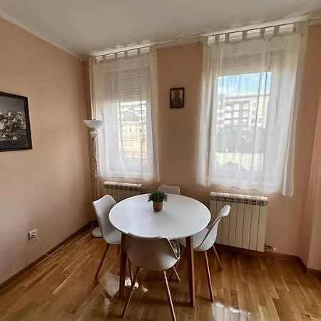 Angela With 2 Balconies 公寓 贝尔格莱德