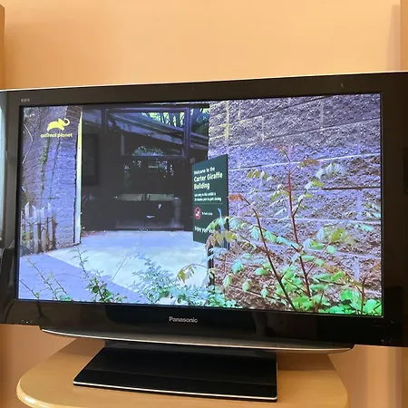 Angela With 2 Balconies