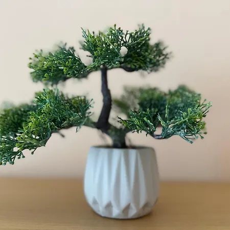 Angela With 2 Balconies 公寓