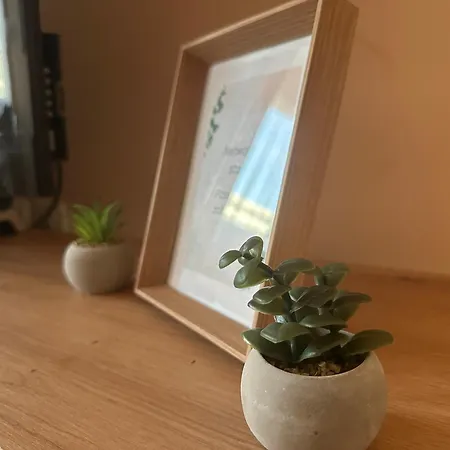 Angela With 2 Balconies * 贝尔格莱德